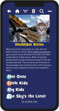 Phone-WebsiteImages-BMP